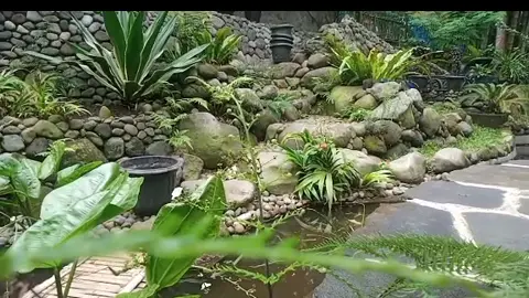 RENOVASI KOLAM NATURAL