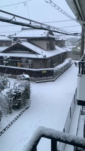 Chắc ngủ tiếp chứ