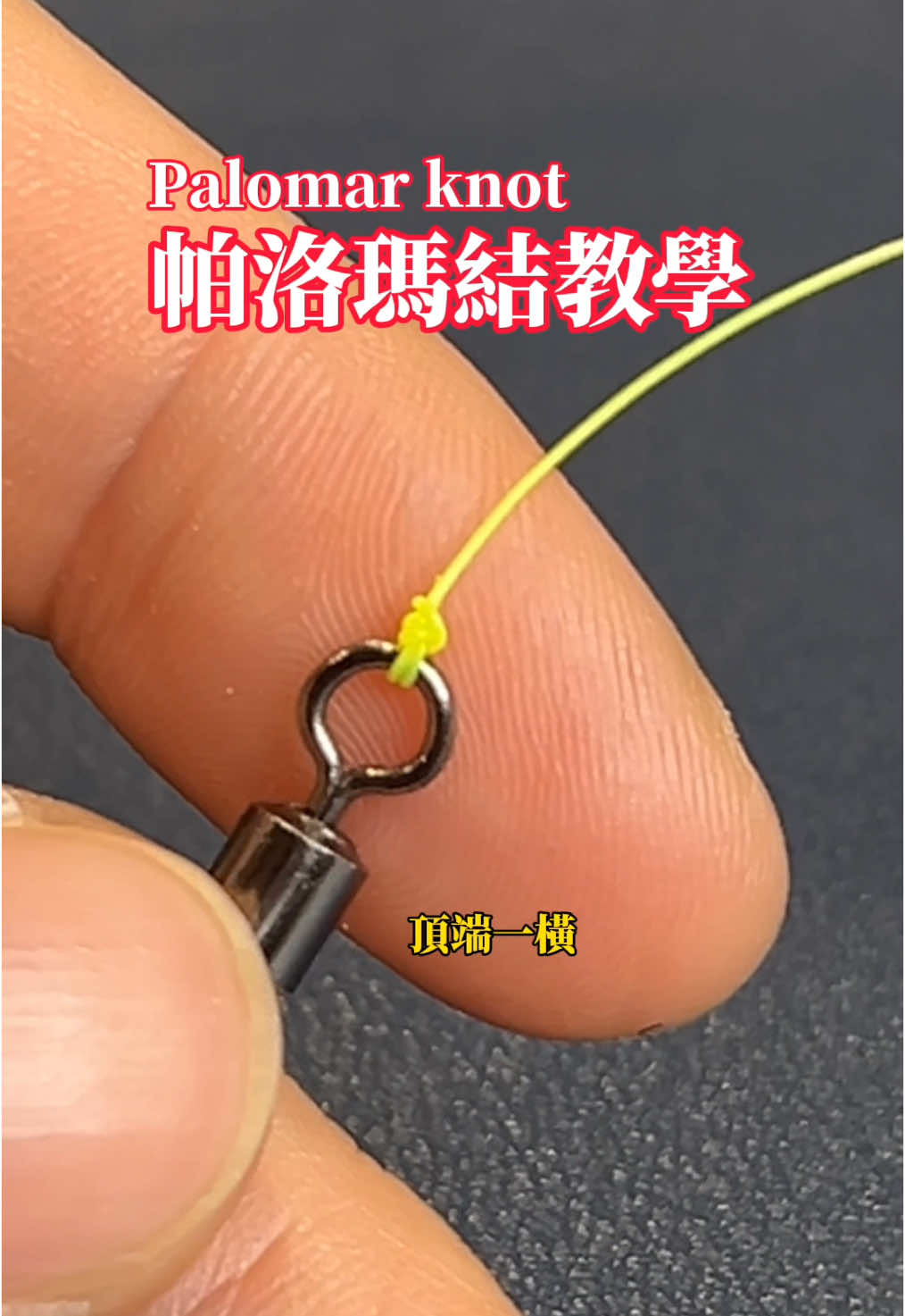 釣魚人必學的結圈，帕洛瑪結！#釣魚 #路亞 #帕洛瑪結 #palomarknot 