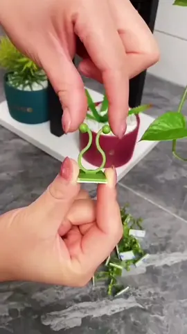 Saving Space Plant Clip Drill Free Flexible Climbing Wall Green Plant Fixer Vine Hook for Garden #plants  #holder #garden 