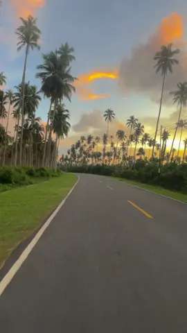 Ada yang pernah lewat sini ? #Orang pantai barat pasti tidak asing dengan jalan ini, tohh.😅Salah satu ruas jalan terfavorit dengan ratusan pohon kelapa berjejer rapi dan menjulang tinggi. Klw lewat sini saat pagi atau sore hari dijamin langsung dibikin ba nostalgia ,, Eeaaa 🤪 #fyp #pemandangan #pemandanganalam #nostalgia #senja 