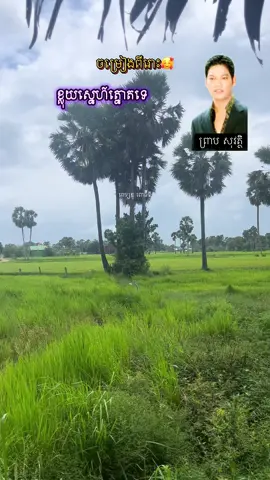 #ពីរោះណាស់🌹💝🌹 #ខ្លុយស្នែហ៍ត្នោតទេ #ព្រាបសុវត្ថិ #ចម្រៀងខ្មែរ #ចម្រៀងពីរោះៗ #បែបស្រុកស្រែ #ទេសភាពស្រុកស្រែ🌄🏜️🌱🌼🌾🐟 #ស្រុកស្រែ #កូនអ្នកព្រៃវែង #ពេទ្យឌូពោធិ៍ទី #ty #fyp #foryou #lover #khmertiktok #cambodia 