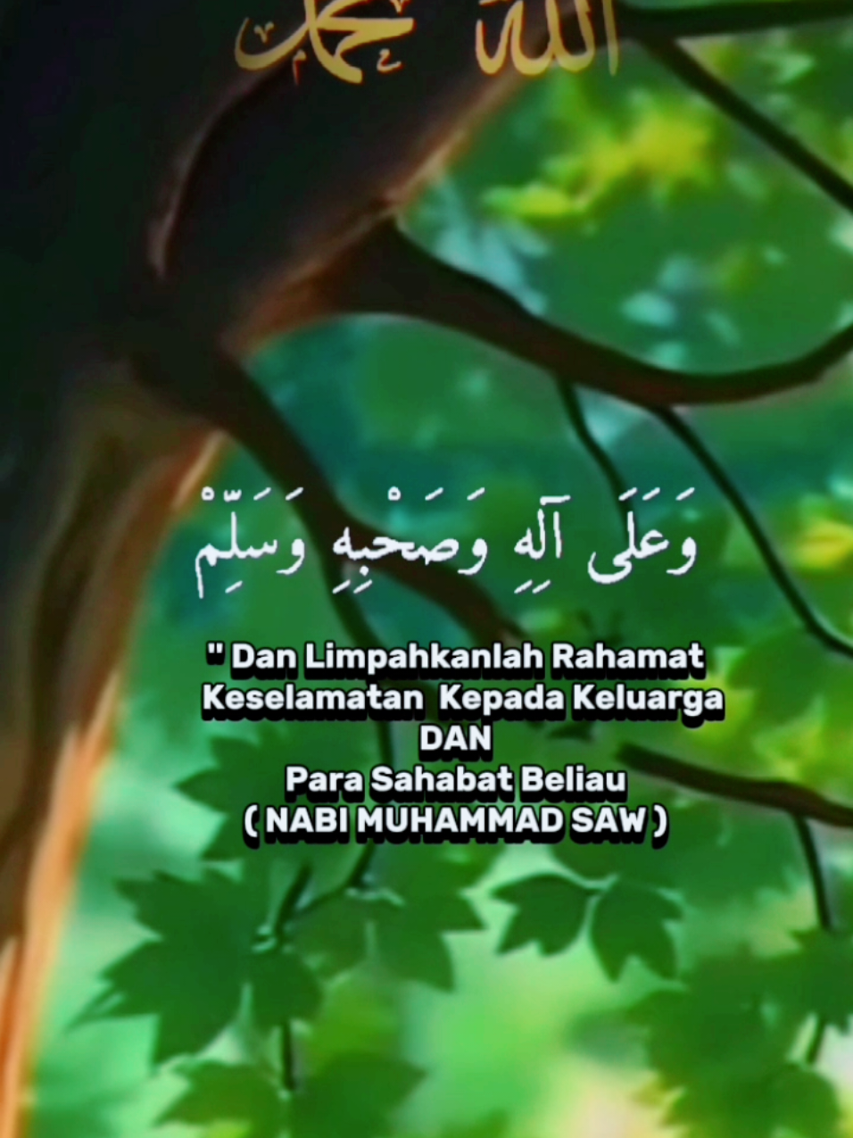 #bismillahirrahmanirrahim  #assalamualaikum🙏  #selamatsoreshbtfillah  #sholawatan_yuk  #sholwatnahdliyyah  #sholawatpenyejukhati  #aamiinyarabbalalamin  🤲🤲🙏