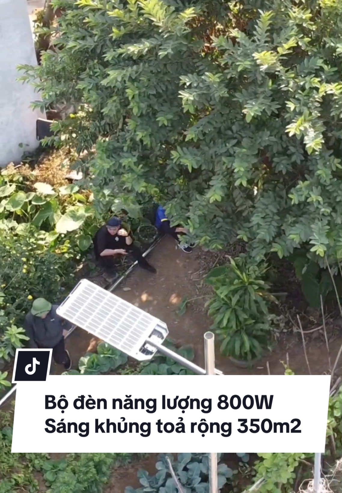 Đèn năng lượng mặt trời công suất 800W. Diện tích chiếu sáng 12 tiếng. Chiếu sáng rộng 300m2. Bảo hành 3 năm. #tpsolarstore #dennangluongmattroi #dennangluongmattroi800w #live #muataitiktok #muataitiktokshop #xuhuong 