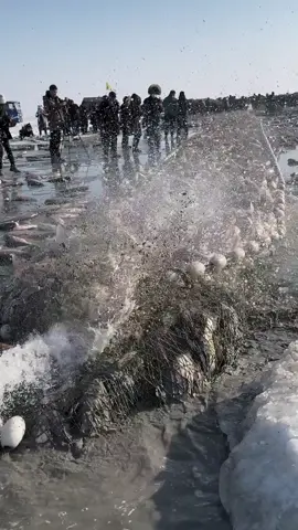 #satisfying #machines #in #action 