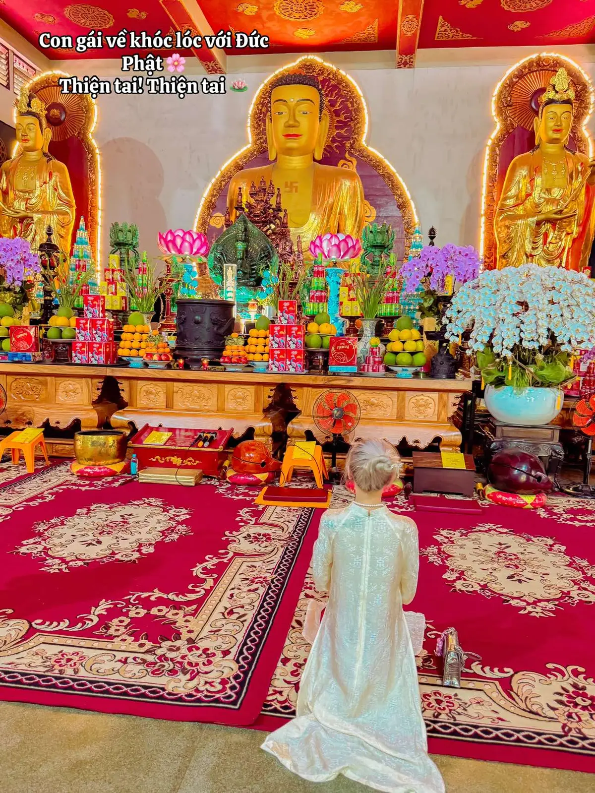 Con gái về khóc lóc với Đức Phật 🌸  Thiện tai! Thiện tai 🪷 Hào quang của mẹ Quan Âm đẹp quá ạ 🌸 #xuhuong #viral #saigon #chuavinhnghiem #tamlinh #nammoadidaphat 