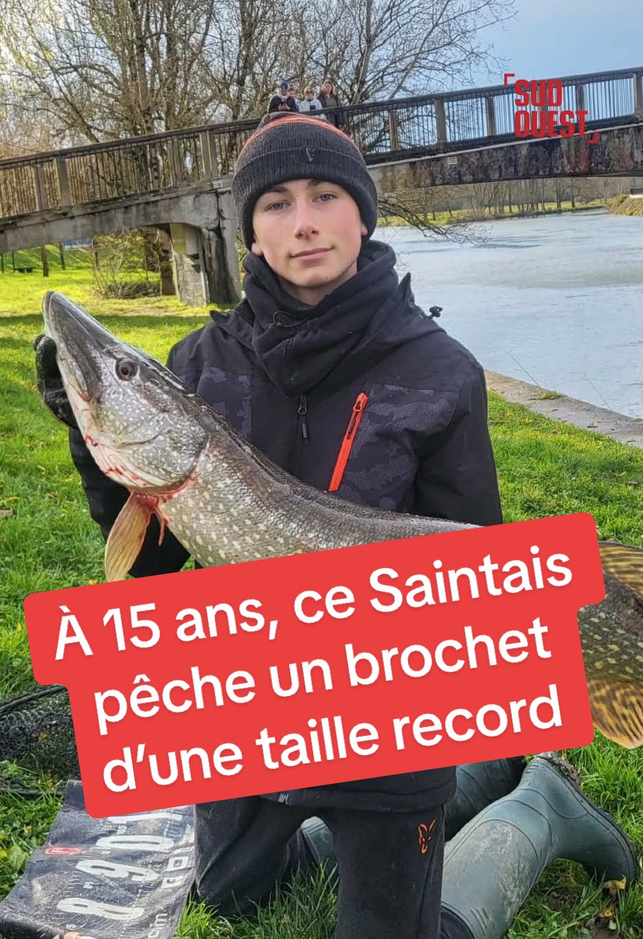 🎣📐 Dimanche 5 janvier, Timéo, 15 ans et élève du lycée du Petit-Chadignac a sorti de la Charente un spécimen de brochet bien plus gros que la moyenne. Pour donner une idée, les plus gros brochets pris dans la Charente sont un poisson de 1,20 mètre à Angoulême et un autre de 1,17 mètre à Ruffec. La moyenne est de 60 à 80 centimètres. Cette prise a ensuite été remise à l’eau. #pêche #brochet #record #poisson #prédateur #animal #eaudouce #charente #saintes #charentemaritime 