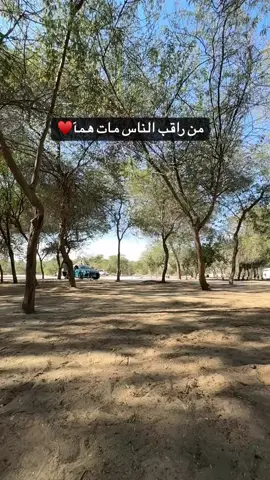 ♥️#الاحساء_الهفوف #الاحساء #العمران #اكسبلور 