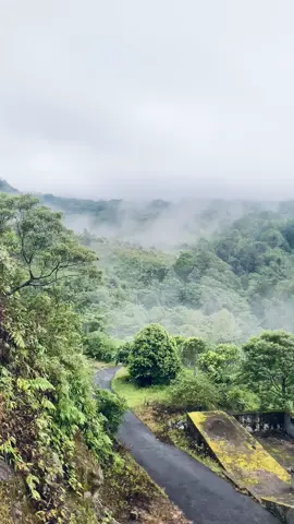 Curup emang ga pernah gagal 🍃 #bukitjipangcurup #curupbengkulu  #curup 