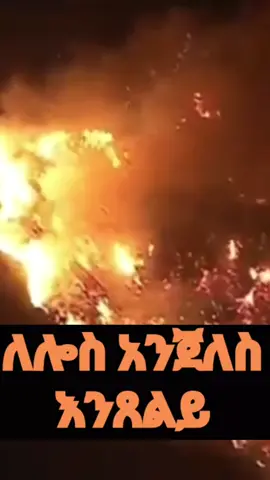 #fyp #america #wildfire #tiktokviral #viral_video #breakingnews #prayforamerica #ethiopian_tik_tok #ethiopian_tik_tok🇪🇹🇪🇹🇪🇹🇪🇹 #ሀበሻ🇪🇹🇪🇹🇪🇹tiktok #ኢትዮጵያ_ለዘለዓለም_ትኑር🇪🇹🇪🇹🇪🇹 #አዲስአበባ #oromotiktok❤️💚❤ #ሀበሻቲክቶክ #ሀገሬ #ሃበሻቲክቶክ💚💛❤tik_tok #የእናንተገፅ #የእናንተገፅ🇪🇹viral 