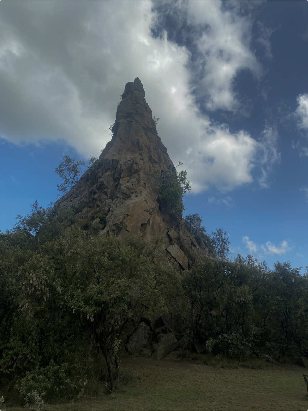 Who knew Milele is a real place?  #milele #mufasa #lionking #dinsey #mybrother #aspireToLiveInNow #kenya #hellsgate #travel #adventure #pridelands  