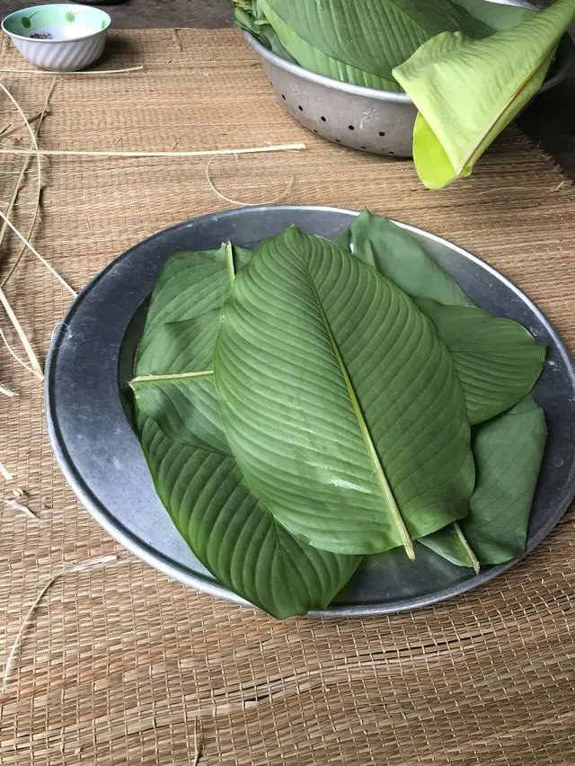 #37nghean #유학생🇰🇷🇻🇳 #tết 