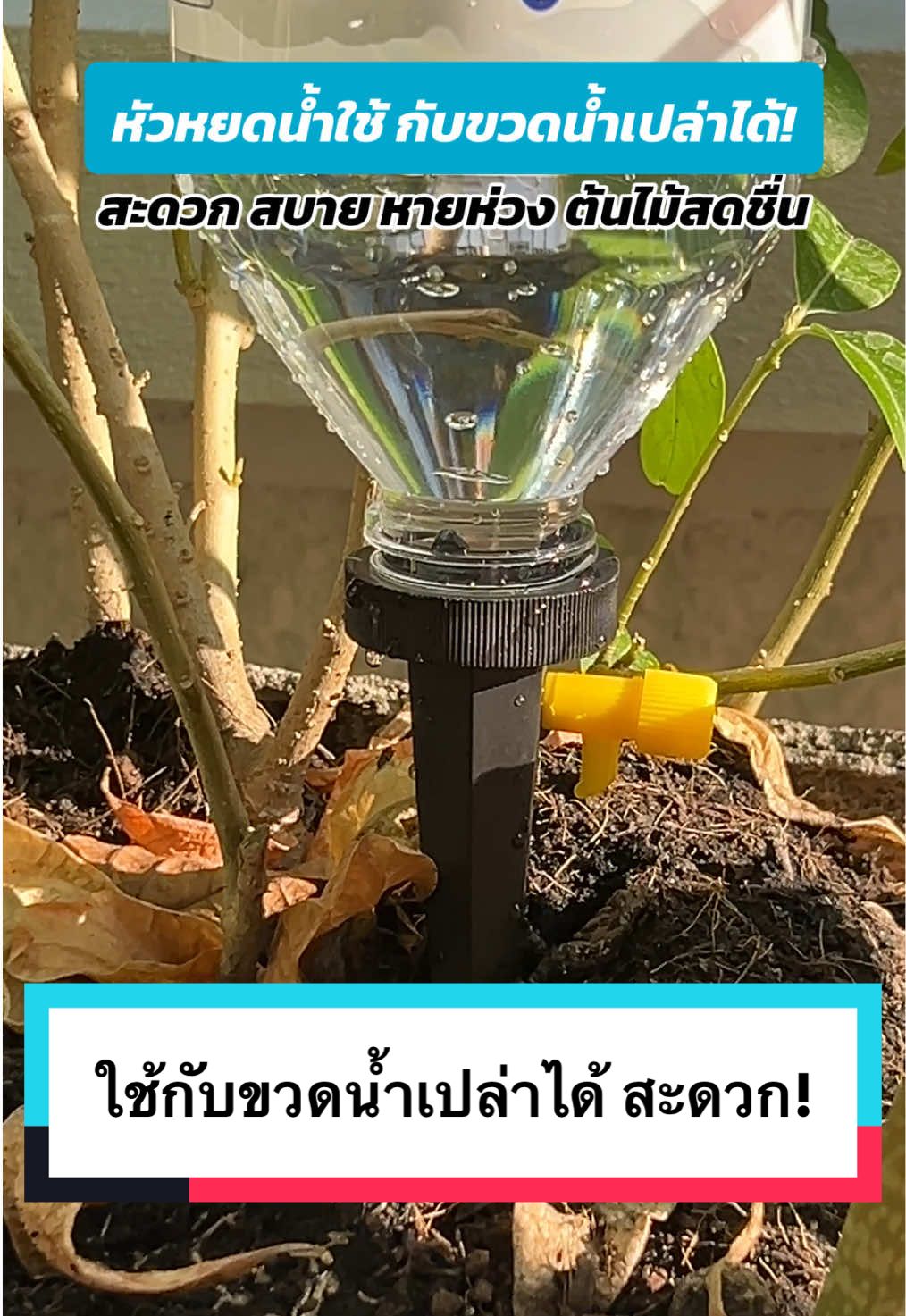 หัวหยดน้ำร้านนี้ ใช้กับขวดน้ำเปล่าได้ สวมหัว ปักดินใช้งานได้เลย 😁 #คนรักต้นไม้ #รดน้ําต้นไม้ #ต้นไม้ #ชาวสวน #อุปกรณ์การเกษตร #เกษตรกร 