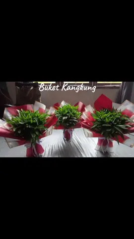 Buket kangkung 
