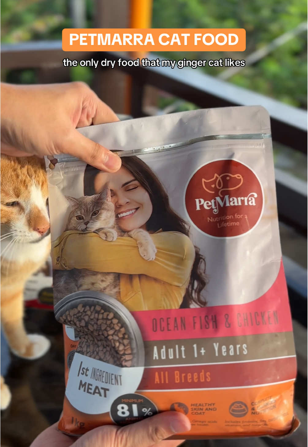 Petmarra cat food - the only cat food for my ginger cat lino ming. #catfood #drycatfood #petmarra #petmarracatfood #favoritecatfood #catfoodrecommendation #gingercat 