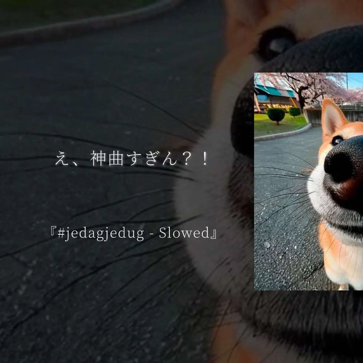 #PR  ##jedagjedugSlowed  #曲紹介  #おすすめ  @Zachz Winner 