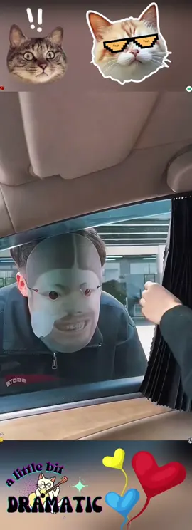 #Protecting Privacy in the Car #Automotive Products #Car Sun Shades