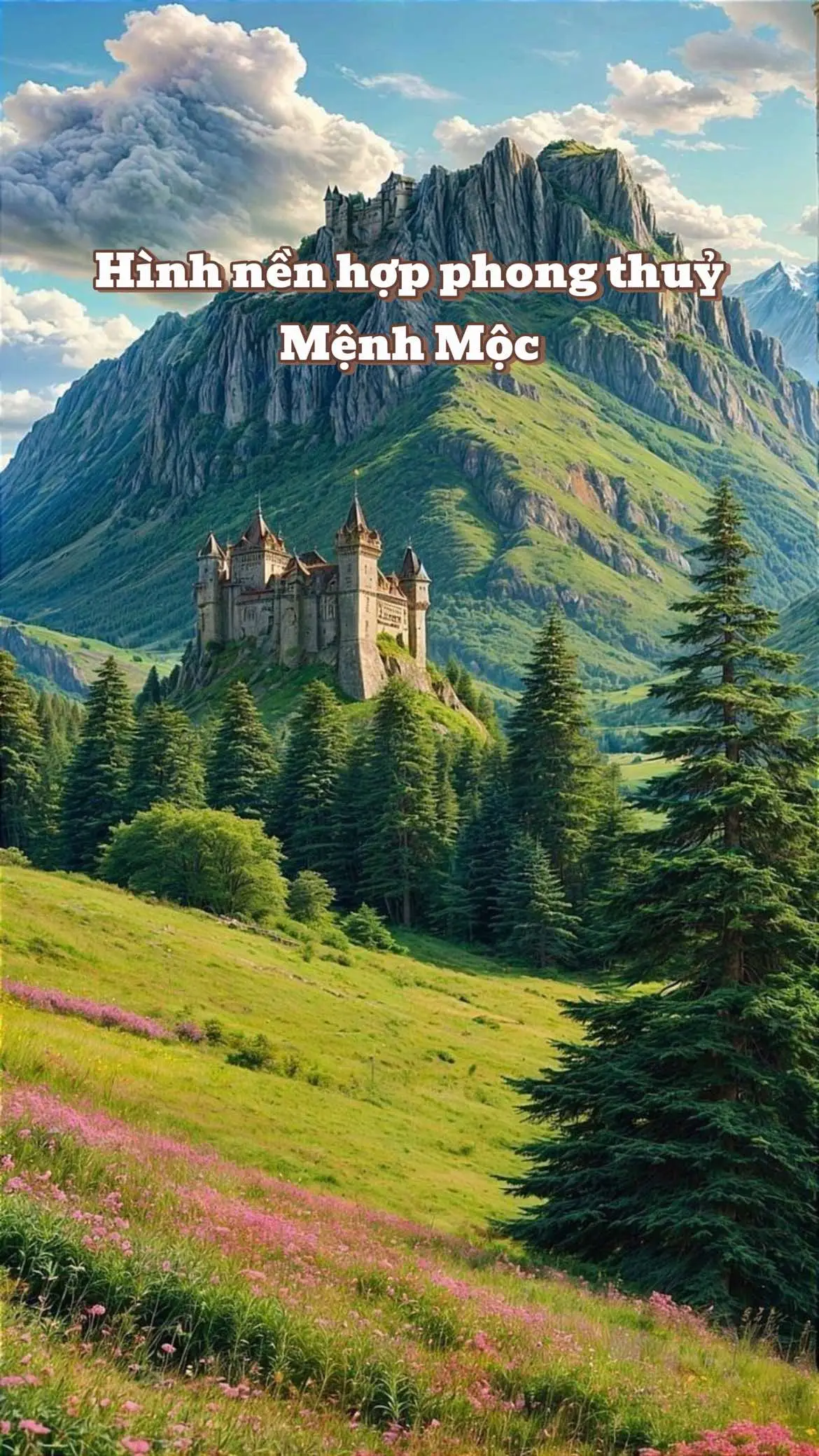 #mệnh Mộc #xuhuong #top #tiktok 