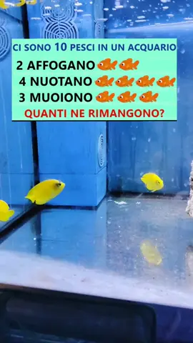 #quiz #test #indovina 