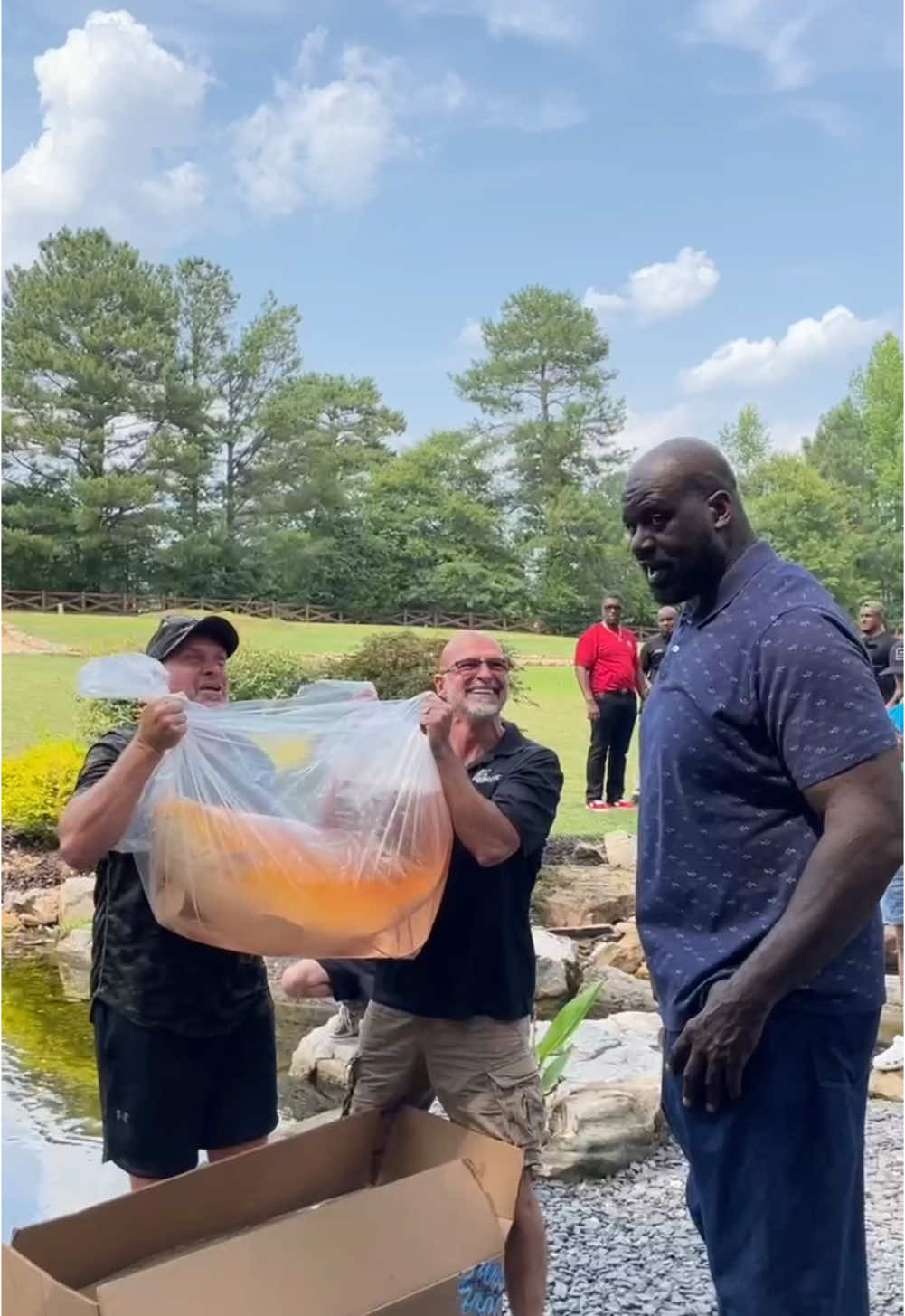 We gave @ShaqDieselONeal A Giant Japanese Koi  #shaq #japanesekoi @Ed Beaulieu 