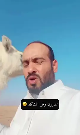 مهيب بدوية 🌹#explore #اكسبلورexplore #fyp #foryou #حمود_الاول #الشعب_الصيني_ماله_حل😂😂 #الابل #الصياهد #foryoupage #اكسبلور #fypシ #شعر 