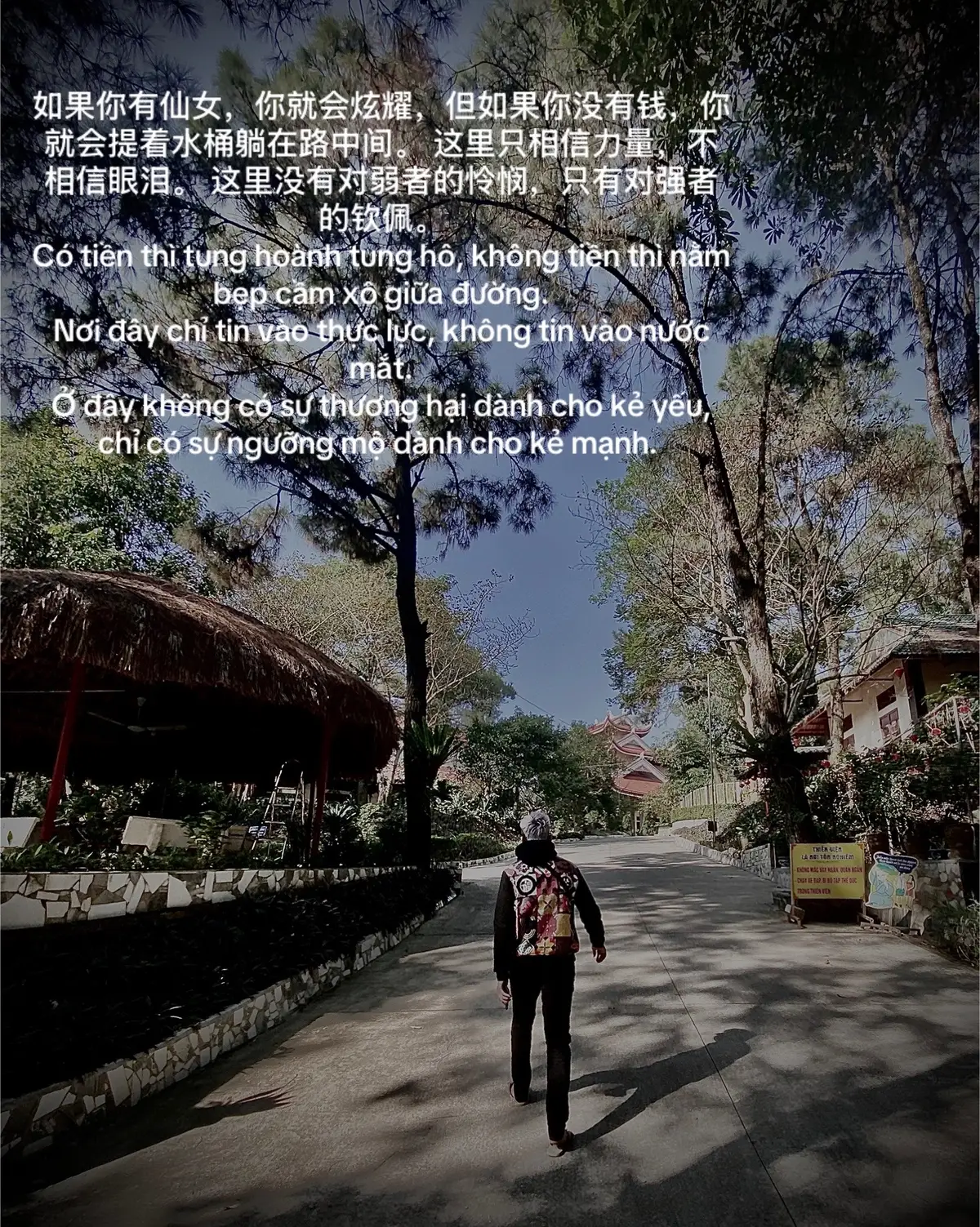 如果你有仙女，你就会炫耀，但如果你没有钱，你就会提着水桶躺在路中间。 这里只相信力量，不相信眼泪。 这里没有对弱者的怜悯，只有对强者的钦佩。Có tiền thì tung hoành tung hô, không tiền thì nằm bẹp cầm xô giữa đường. Nơi đây chỉ tin vào thực lực, không tin vào nước mắt. Ở đây không có sự thương hại dành cho kẻ yếu, chỉ có sự ngưỡng mộ dành cho kẻ mạnh. 