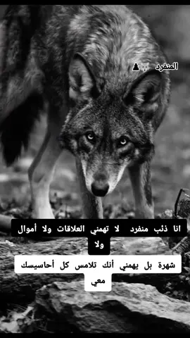 #فلسفة_العظماء🎩🖤 #الذئاب__المتمردة #CapCut 