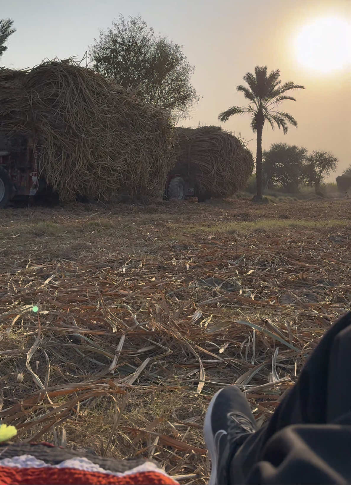 #fyp #fypシ #foryou #viral #trending #2025 #newyear #rahimyarkhan #pakistan 