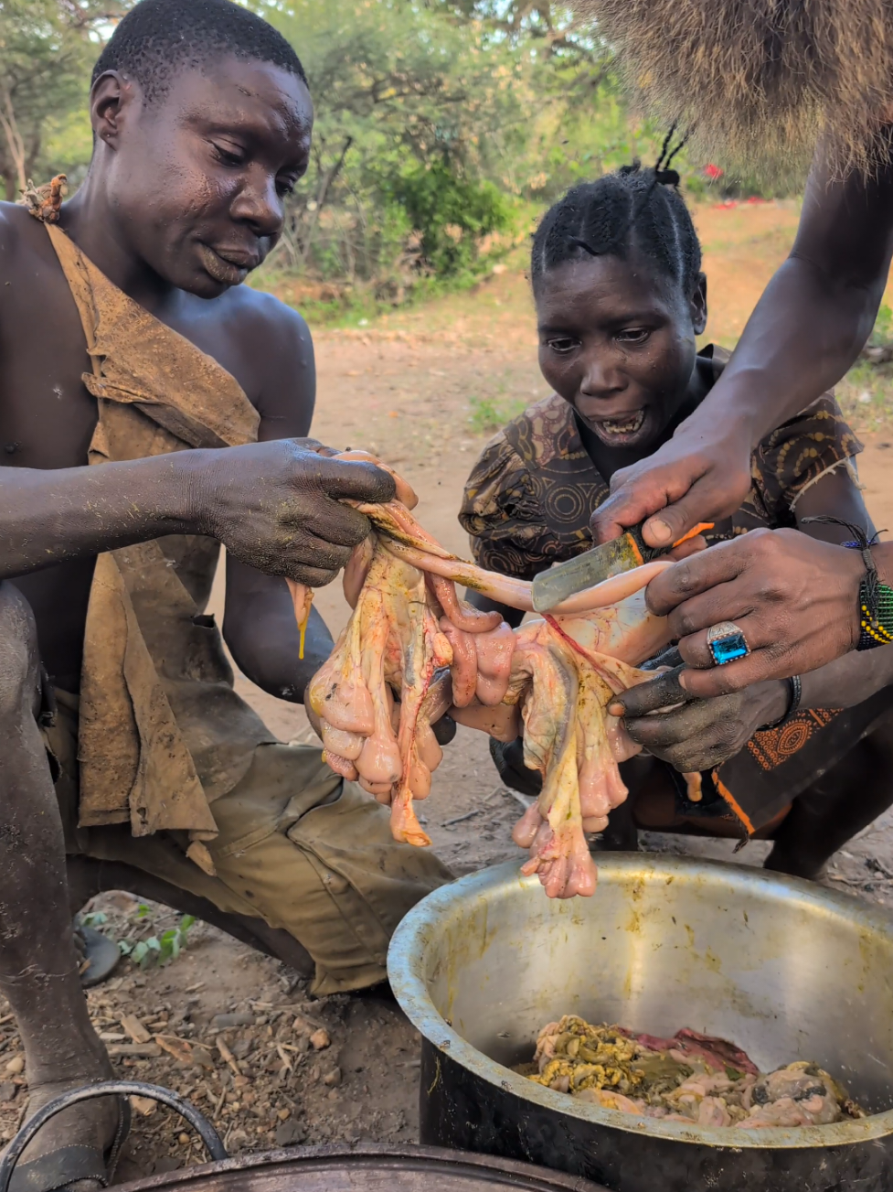 Would you eating this‼️😋😲 Nutrition food hadza prepare their dinner😋#hadzabetribe #Africa #Culture 