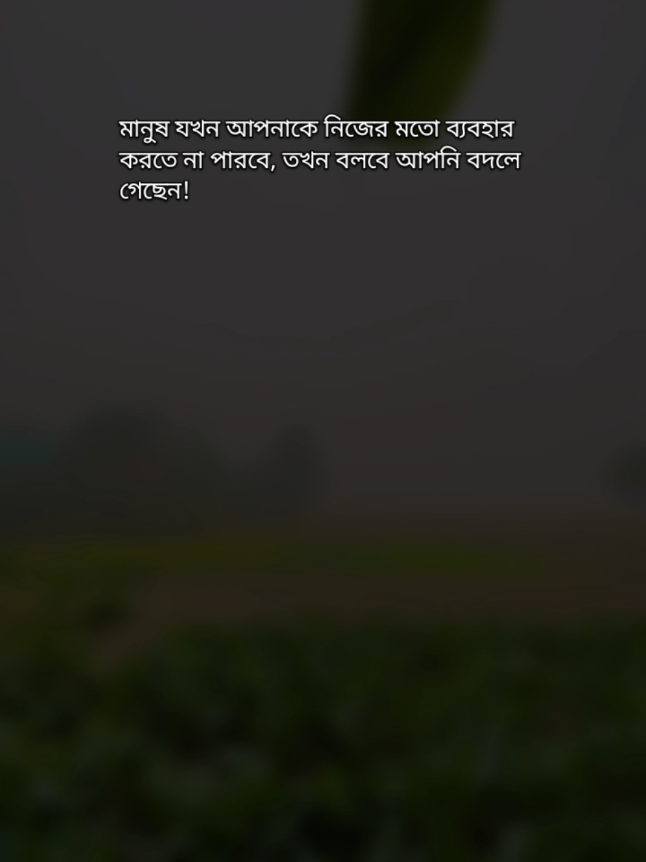 এটাই মানুষের চোখে আমাদের বদলে যাওয়া 🙂 #banglastatus #bangla_status #banglastatusvideo #sadstatus #trending #viralvideo #bdtiktokofficial #foryoupage #fypシ 