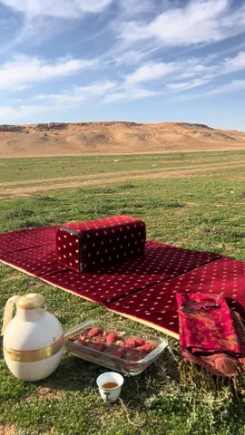 اسعد الله اوقاتكم بكل خير وسعادة 🌹🌹#اكسبلورexplore #يومياتي #سنابي #fypシ #اجواء_الشتاء #تصويري📸 #اكسبلور #لانتشار_السريع 