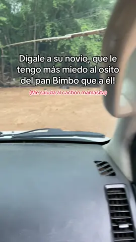 #caballos #ganaderia #agropecuario #infieles #amor #cachon 