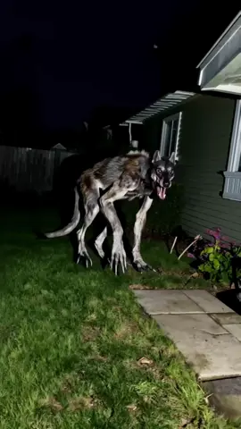 What is this creature?  #werewold #cryptid #dog #skinwalker #dogsoftiktok #weirdpets #strangepets #caughtoncamera #nightmarefuel #terror #creepybutcute 