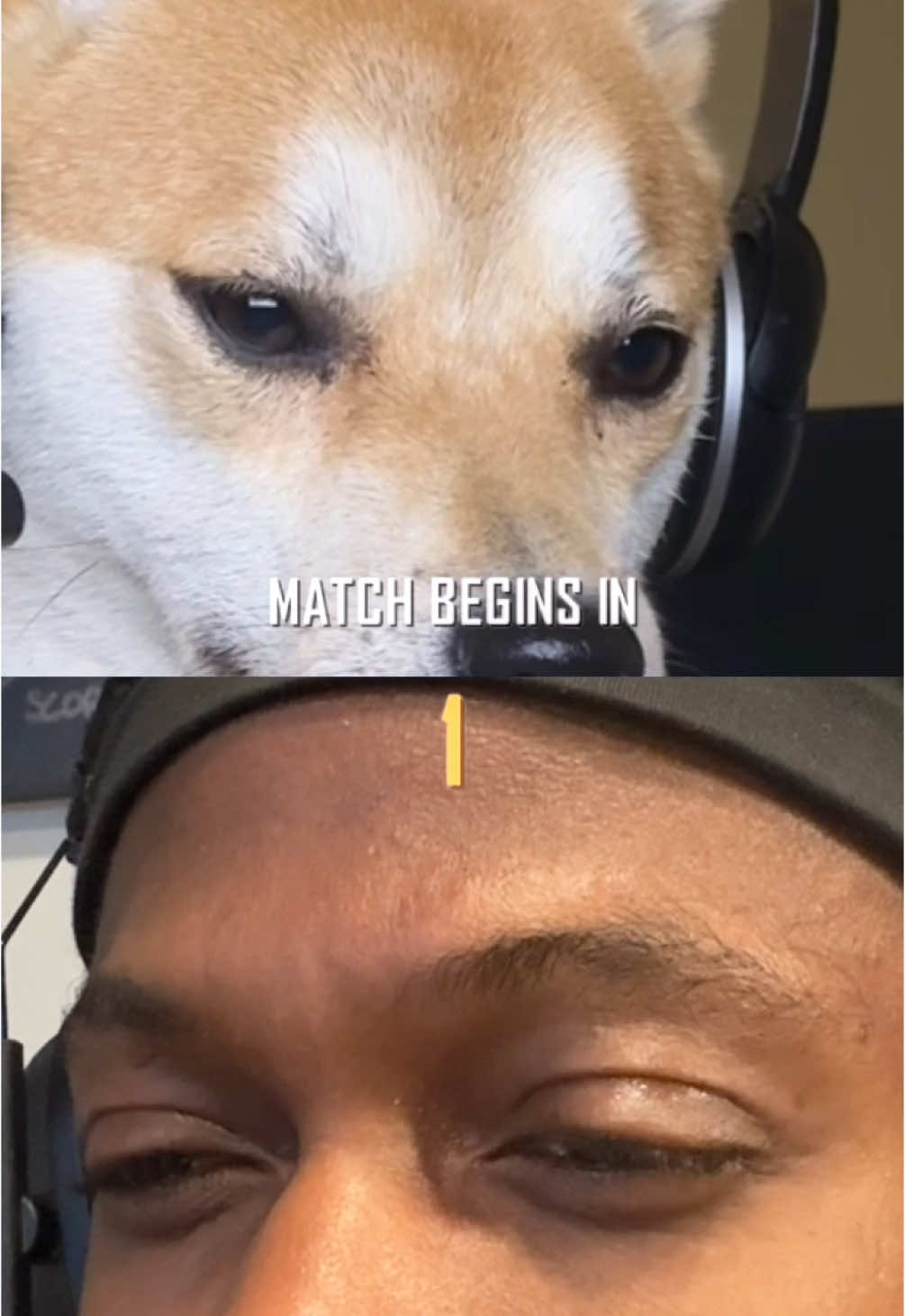 she said we gonna play together one way or another 😤 #dogs #dogsoftiktok #callofdutywarzone #gaming #funny