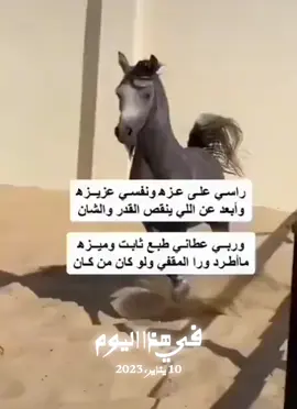 #في هذا اليوم 
