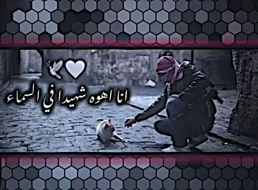 فأجبني بربك انقذني 🤍🕊️ #ستار #فيديو_ستار #تصميم_ستار #مصمم  #حزينه  #pov #لايك_متابعه_اكسبلور  #عبارات_حزينه #كئيبه #عباراتكم 