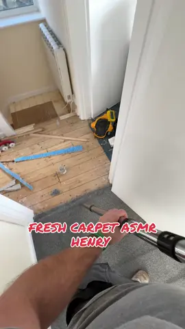 This vacuum is a boss #henry #numaticinternational #pov #carpet #asmrsounds 