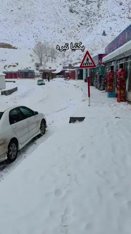 Qesmat#🥀♥️🥀♥️🥀♥️🥀♥️🥀♥️🥀♥️🥀♥️🥀♥️🥀♥️ #foryoupage #viraltiktok #15svineskannada #fypシ゚viral🖤tiktok☆♡🦋myvideo #foryou #1millionauditions #15svines #viral #fyp #viral_video #pregnant 