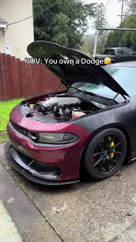 FatPack#CapCut #scatpack #dodge #hemi #e85 #cam #cammed392 #fyp #foryou #viral #1320 #cartiktok #392hemi #hemi392 #cartok #foryoupage 