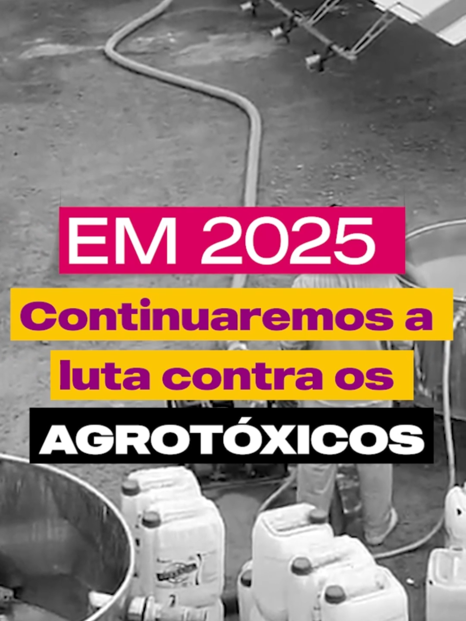 11 DE JANEIRO  Dia do Combate à Poluição por Agrotóxicos é mais uma data entre várias para nos lembrar de combater a intoxicação de nossos alimentos por venenos.  Há diversas pesquisas que associam o uso de agrotóxicos a doenças oncológicas, cognitivas, e ainda assim, o Brasil insiste em manter uma legislação permissiva quanto à liberação de substâncias nocivas na agricultura.  Falaremos quantas vezes for preciso: #ChegadeAgrotóxicos  #AnaPerugini #Alesp #interiordesp #hortolandia #agriculturafamiliar