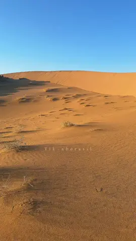 #aborasil #شيلات 