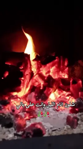 شلون انام الليل وانت على بالي مصمم_فيديوهات🎬🎵 #استوريات #story #fypシ #ليل #ربداوي #اربد_عروس_الشمال #المعتزل👑 