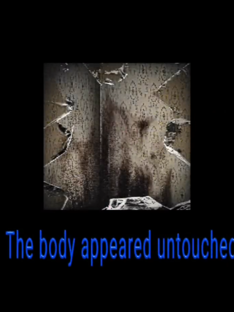 #fyp #edit #fouryou #theboiledone #analoghorror #analog 