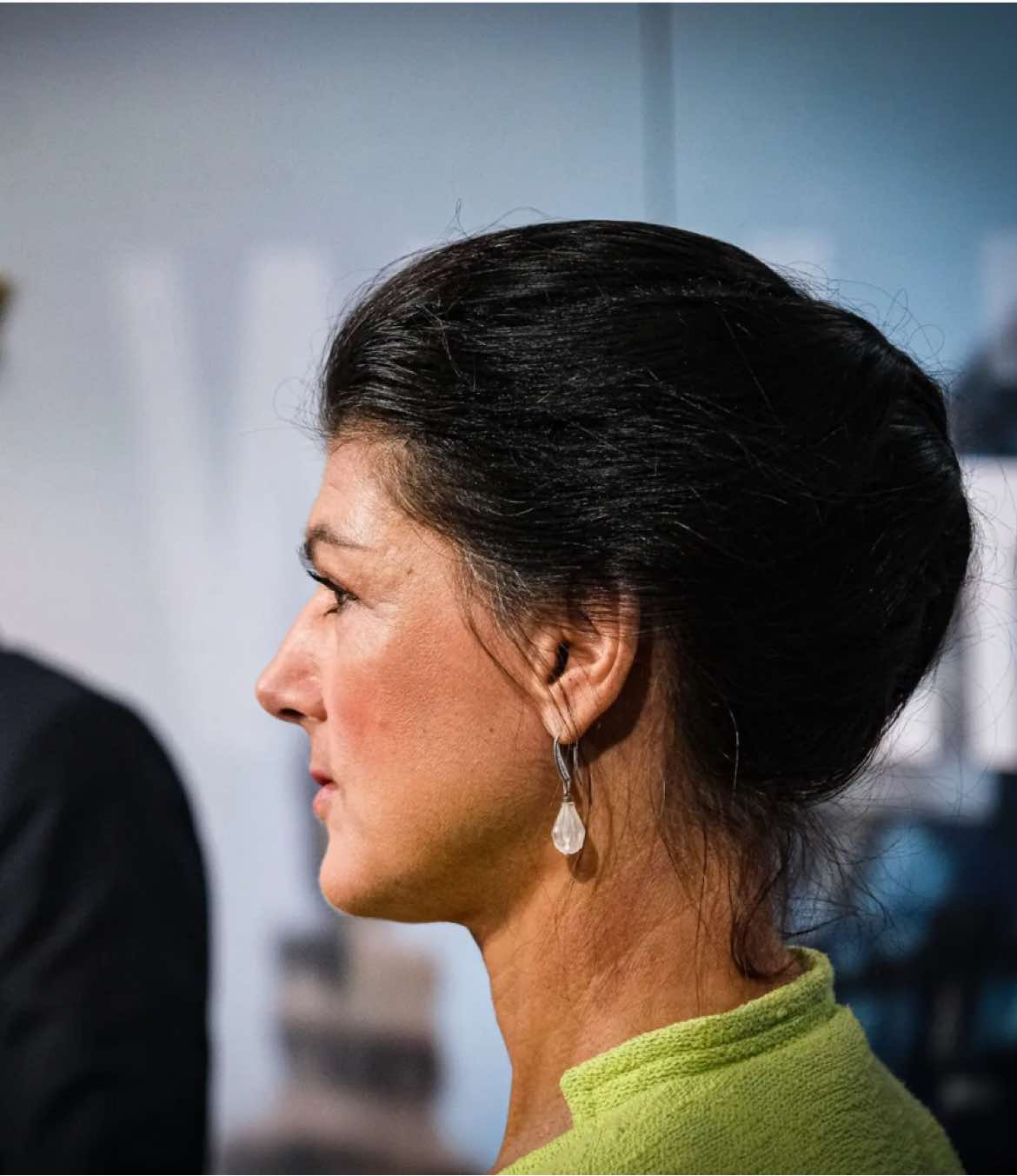 Sahra Wagenknecht (BSW) über die israelische Kriegsführung im Gazastreifen. Findet ihr ihre Argumentation gelungen ? #bsw #wagenknecht #palestine #palästina #afd #weidel #aliceweidel #israel #krieg #sahrawagenknecht 