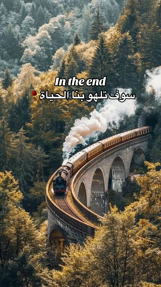 In the end .. سوف تلهو بنا الحياة .. فتعال أحبك الآن أكثر 🥀💖 #هذه_ليلتي #سوف_تتالم_قليلا🐸 #سوف_تلهو_بنا_الحياة #قصةعشق🥀 #بعد_حين_يبدل_الحب_دارا #والمساء_الذي_تهادي_الينا #ام_كلثوم #ام_كلثوم_كوكب_الشرق #ام_كلثوم_مصر #محمد_عبد_الوهاب #بليغ_حمدي #موسيقى #عزف #فصحى #قصيده #شعروقصايد #قصايد_شعر_خواطر #سوف #الحياة #theend #in_the_end #تعال #احبك #الآن #اكثر #المساء #الهوى #انت #كله ‎ #كلثوميات #كلثوميات_الليل_☕🎼 #أم_كلثوم_رواق_طرب🎼 #مجرد________ذووووووق🎶🎵💞 #نوستالجيا #nostalgia #omkulthoum #tahermustafa #endlesslove #loveyou #foru #foryoupage❤️❤️ #videoviral #tik_tok #tiktokviralvideo #explore #fyp #reels #tiktoklovers #tiktoklongs #ArabTikTok #trendingvideo #follow #اكسبلور #قديم #زمان #زمان_يافن #طربيات_الزمن_الجميل_🎼🎶🎻♥️🌹 #الفن_العربي_الأصيل #oldsong #sing_oldis #sadsong #حزين #محمد_عبد_الوهاب #قصةعشق🥀 #تصميمي #حالات_واتس #ستوريات #مصر #القاهرة #egypt #متابعه #متابعه_ولايك_واكسبلور_احبكم #ياسلام #دعمكم #لايك_فولو #روعة_الغناء_في_زمن_العمالقة #الطرب_الاصيل #الزمن_الجميل #الزمن_القديم_الزمن_الجميل #عزف #عزف_عود #كلاسيك #ستينات_القرن_الماضي #ابيض_واسود #عبدالحليم_حافظ #fayrouz 