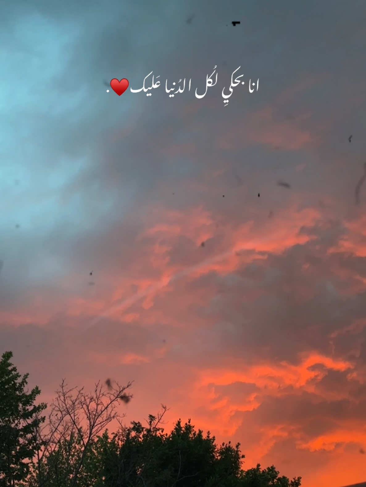 #انا_بحكي_لكل_الدنيا_عليك #بحب_الحب_اللي_جمعنا #بحب_الشوق_اللي_وجعنا #بحب_هواك_وعنيك_انما #لو_قد_الارض_وقد_السما #مغرمة #عمري#جنات#بحبك #اغاني_حب #سما #اكسبلور #🌸 #rozalita #🤍 #❤️