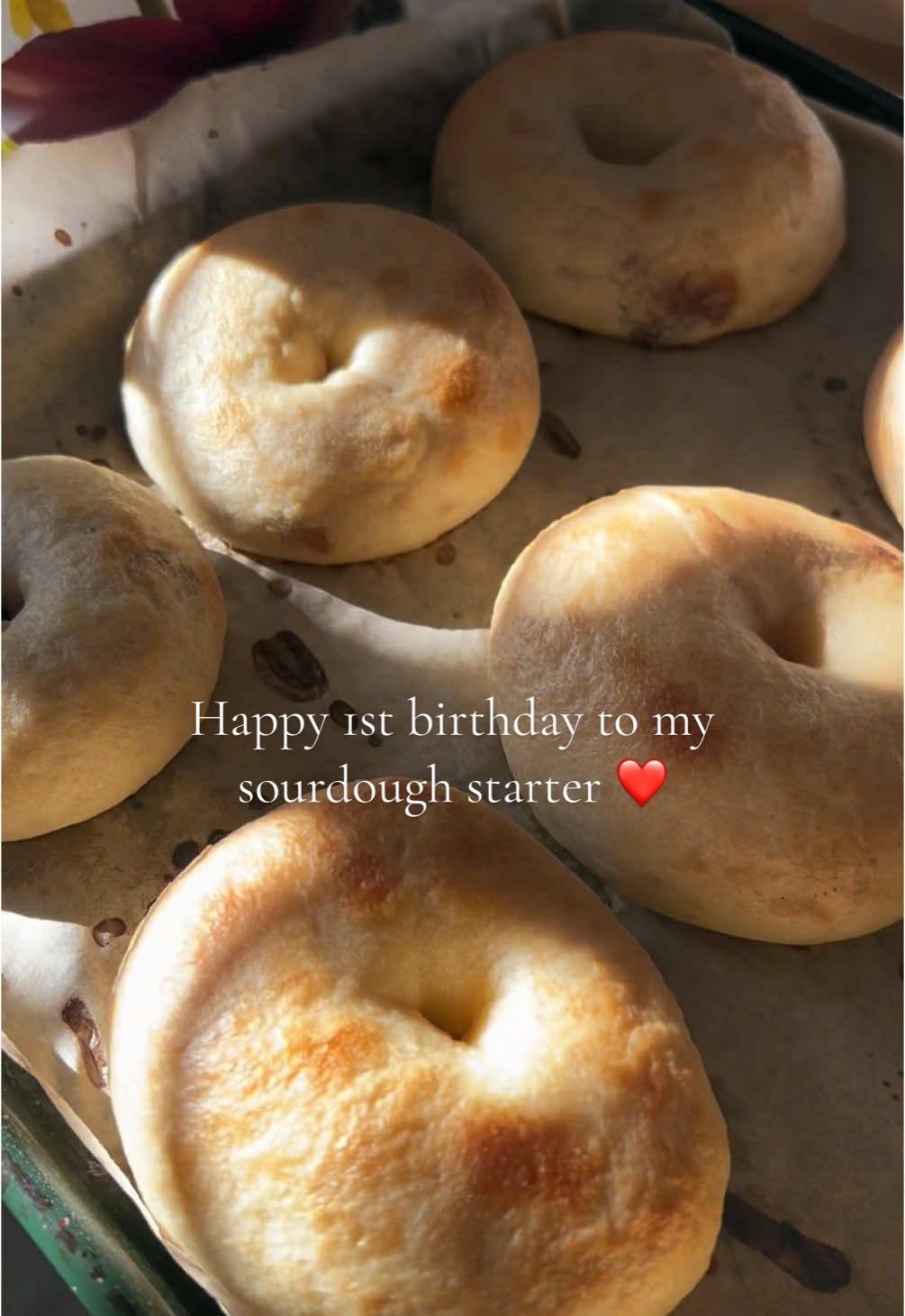 Happy 1st birthday to my sourdough starter ❤️ #sourdough #sourdoughtok #sourdoughstarter 