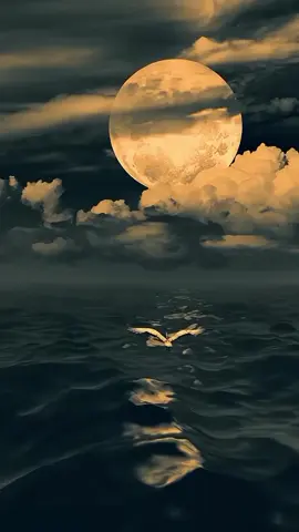 #moon #night #naturebeauty #naturebeautyscenery #naturelover #amazingview #relaxing #videobackground #livewallpaper #longervideos #freetouse #usenow #trending #viral #foryou #foryoupage 