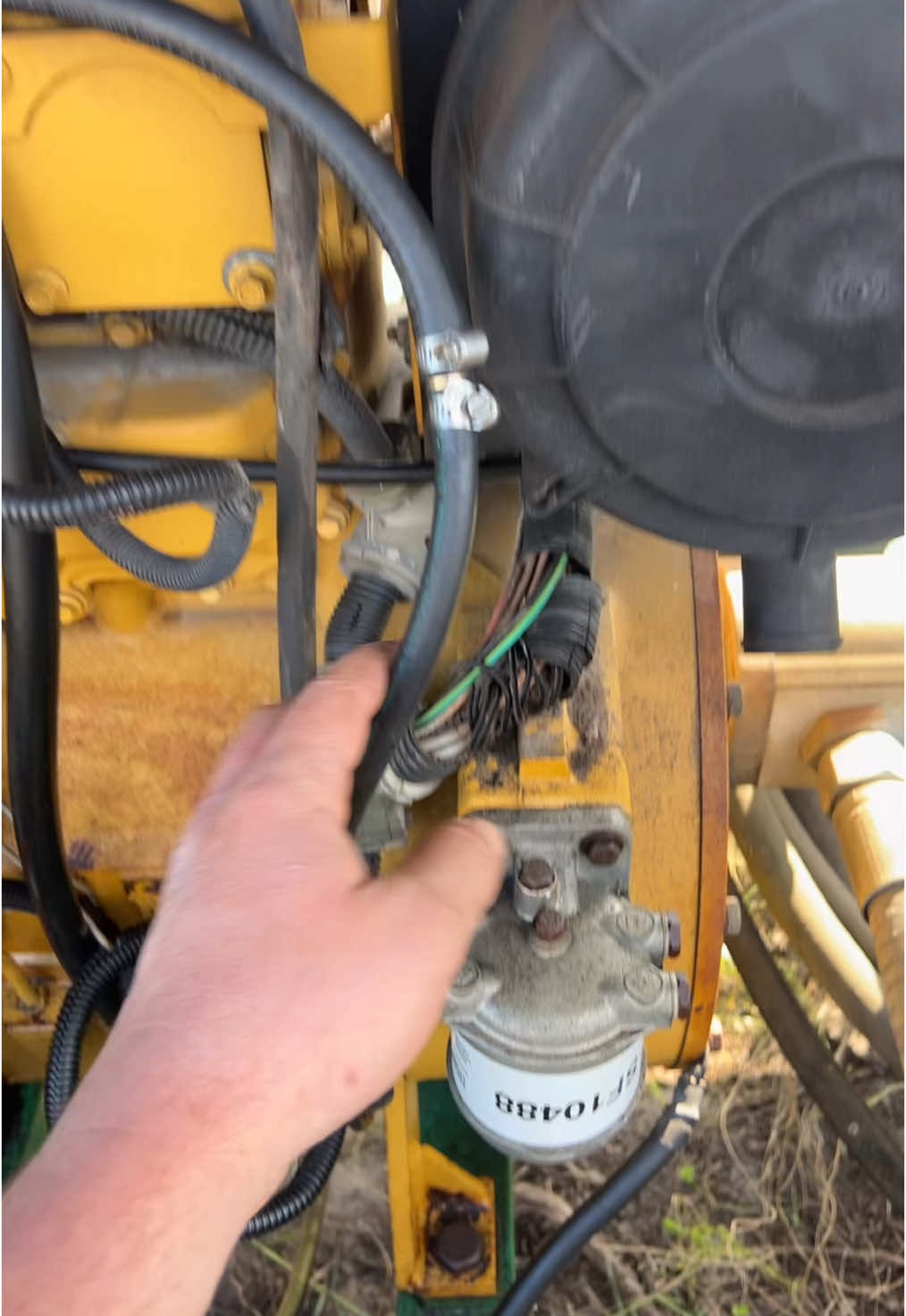 I have very mixed emotions about the McCloskey #inrustwetrust #florida #janky 