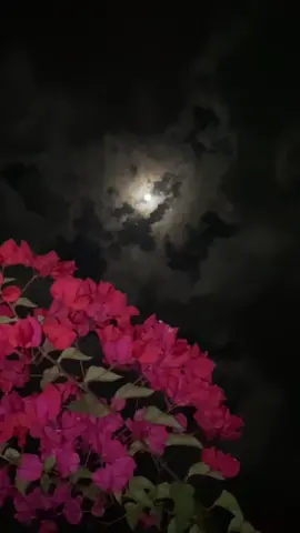 مقابلك بعد الغياب يطول العمر القصير🥀#اكسبلور #explore 